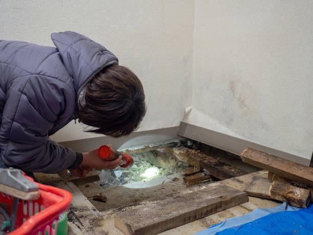 Best Airborne Mold Testing  in Cecilia, LA