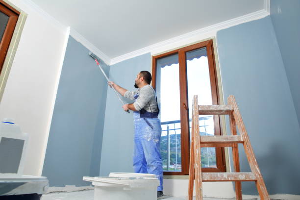 Best Mold Removal for HVAC Installations  in Cecilia, LA