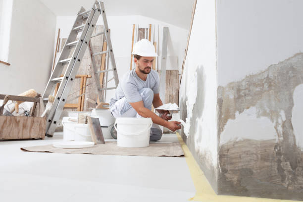 Cecilia, LA Mold Removal Company