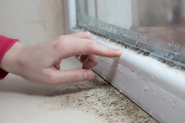 Forensic Mold Investigation in Cecilia, LA