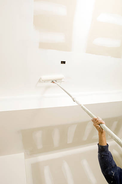 Best Commercial Mold Inspection  in Cecilia, LA