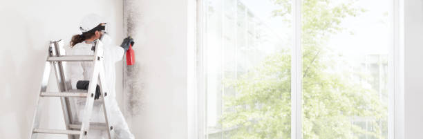Best Post-Construction Mold Inspection  in Cecilia, LA