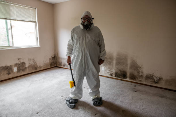 Mold Documentation for Insurance Claims in Cecilia, LA