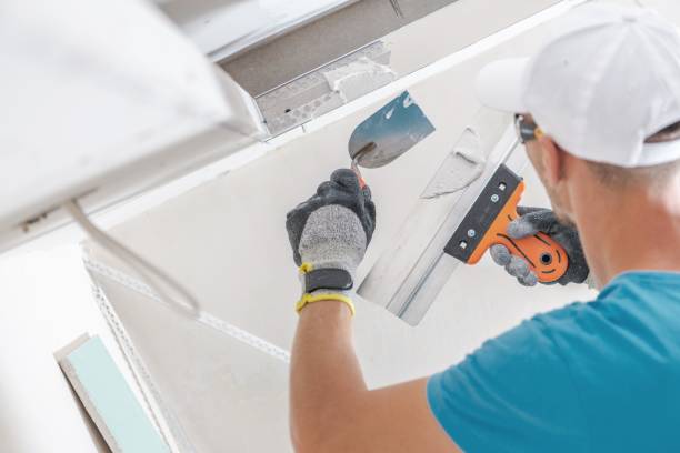Best Black Mold Removal  in Cecilia, LA